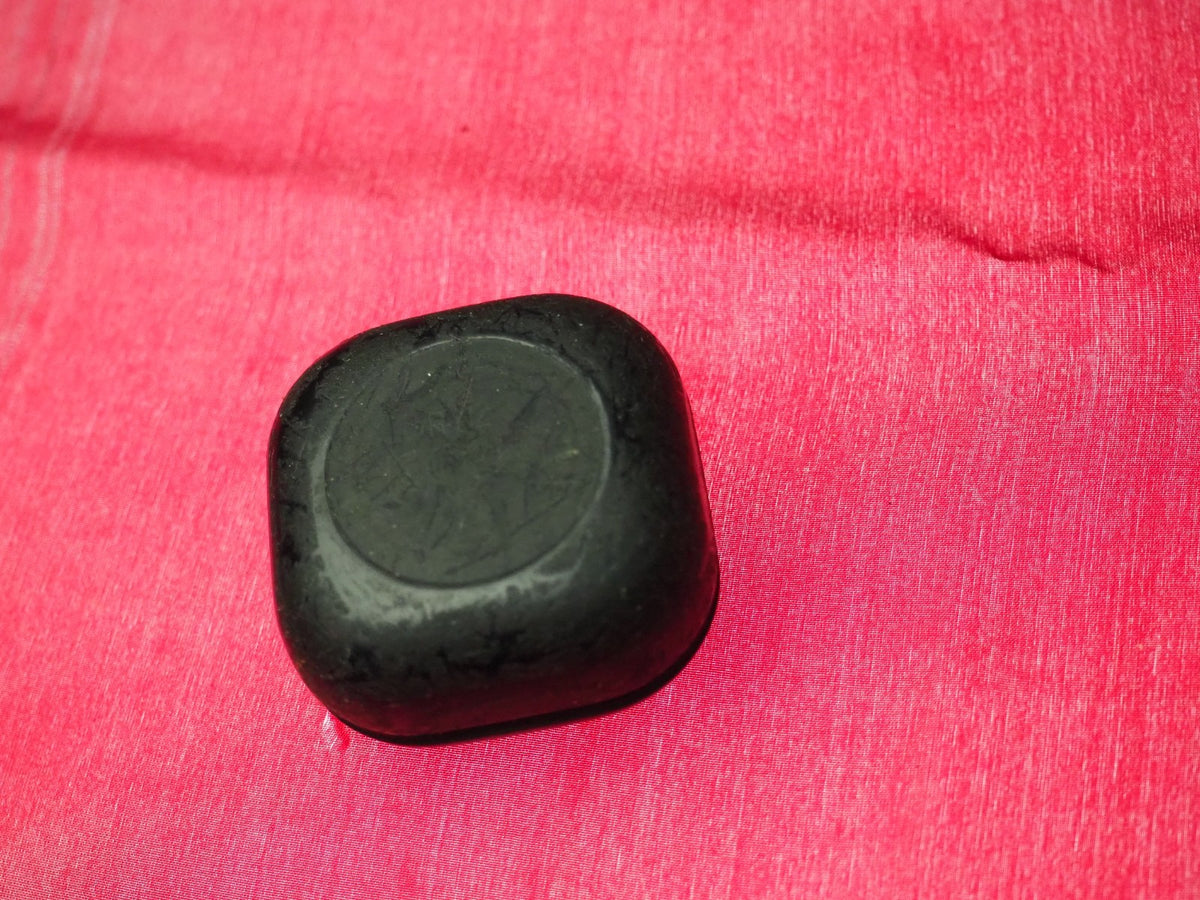 Samsung Galaxy Buds 2 Pro Case Only & Working