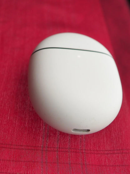 Google Pixel Buds Pro Case Only & Not Working