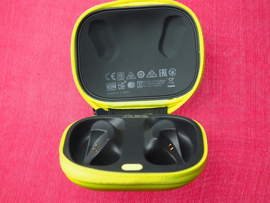 Skullcandy Push Ultra Case Only & Working