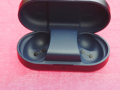 Bang & Olufsen Beoplay EQ Earbud Case Only & Not Working