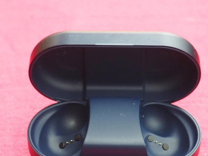 Bang & Olufsen Beoplay EQ Earbud Case Only & Not Working