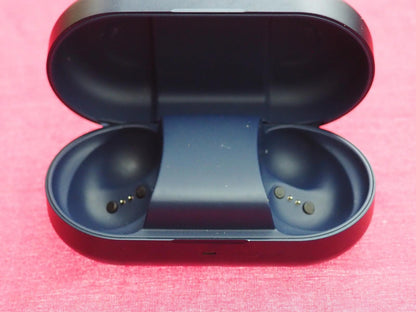Bang & Olufsen Beoplay EQ Earbud Case Only & Not Working