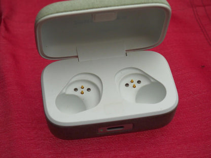 Sennheiser Momentum 4 Case Only & Working