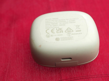 Earfun TW500 Earbuds Case Only & Working