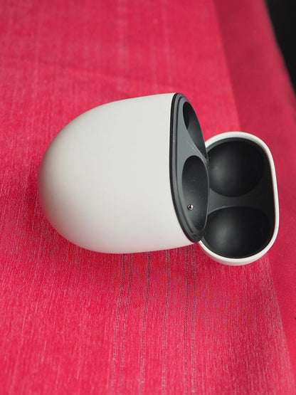 Google Pixel Buds Pro Case Only & Not Working