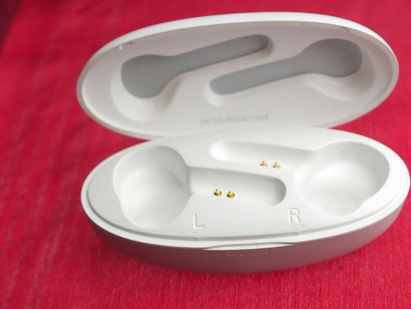 Taotronics -ttbh053 Earbuds Case Only & Working