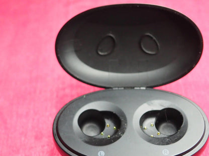 Blueant Pump Air 2  Earbuds Case  Only & Working