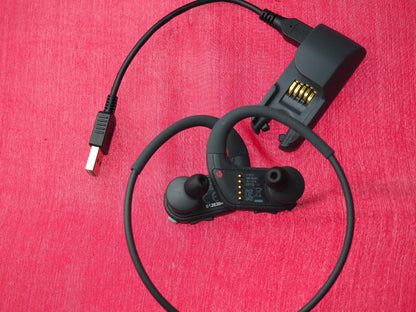 Sony Walkman Waterproof Bluetooth Earbuds