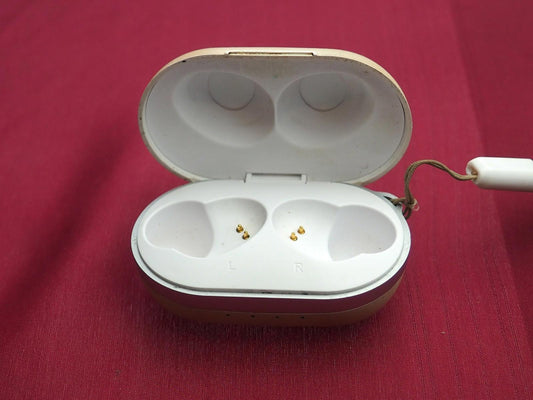 Raycon (unsure which model) Case Only & Working