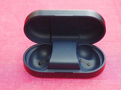 Bang & Olufsen Beoplay EQ Earbud Case Only & Not Working