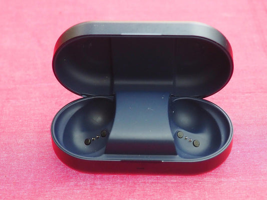 Bang & Olufsen Beoplay EQ Earbud Case Only & Not Working