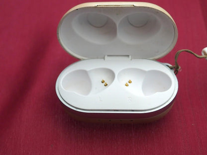 Raycon (unsure which model) Case Only & Working