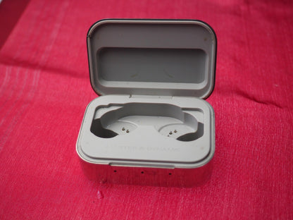 Master & Dynamic CABFBPW1YG0361 Case Only & Working