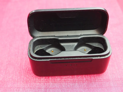 Vinyl By Skullcandy Earbuds Case  Only & Working