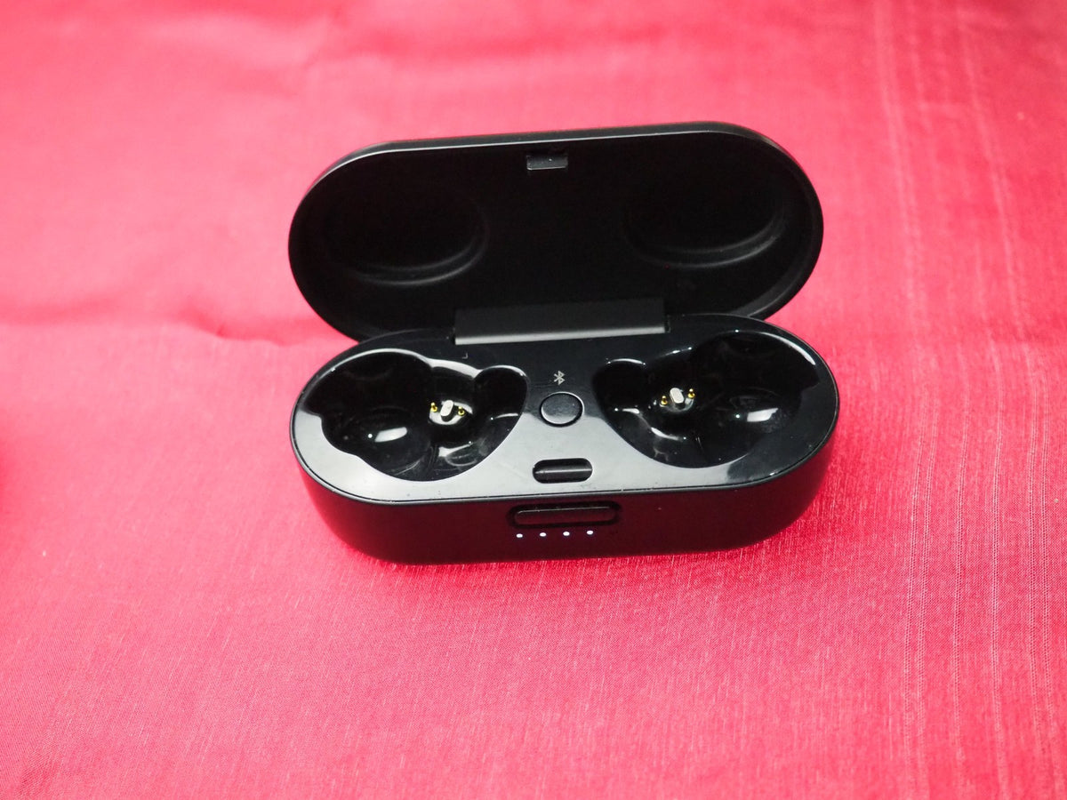 Bose Sport Case Only & Not Working