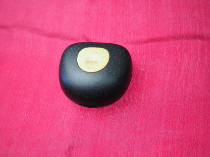 Marley Champion Charging Case Only & Working