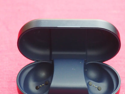 Bang & Olufsen Beoplay EQ Earbud Case Only & Not Working