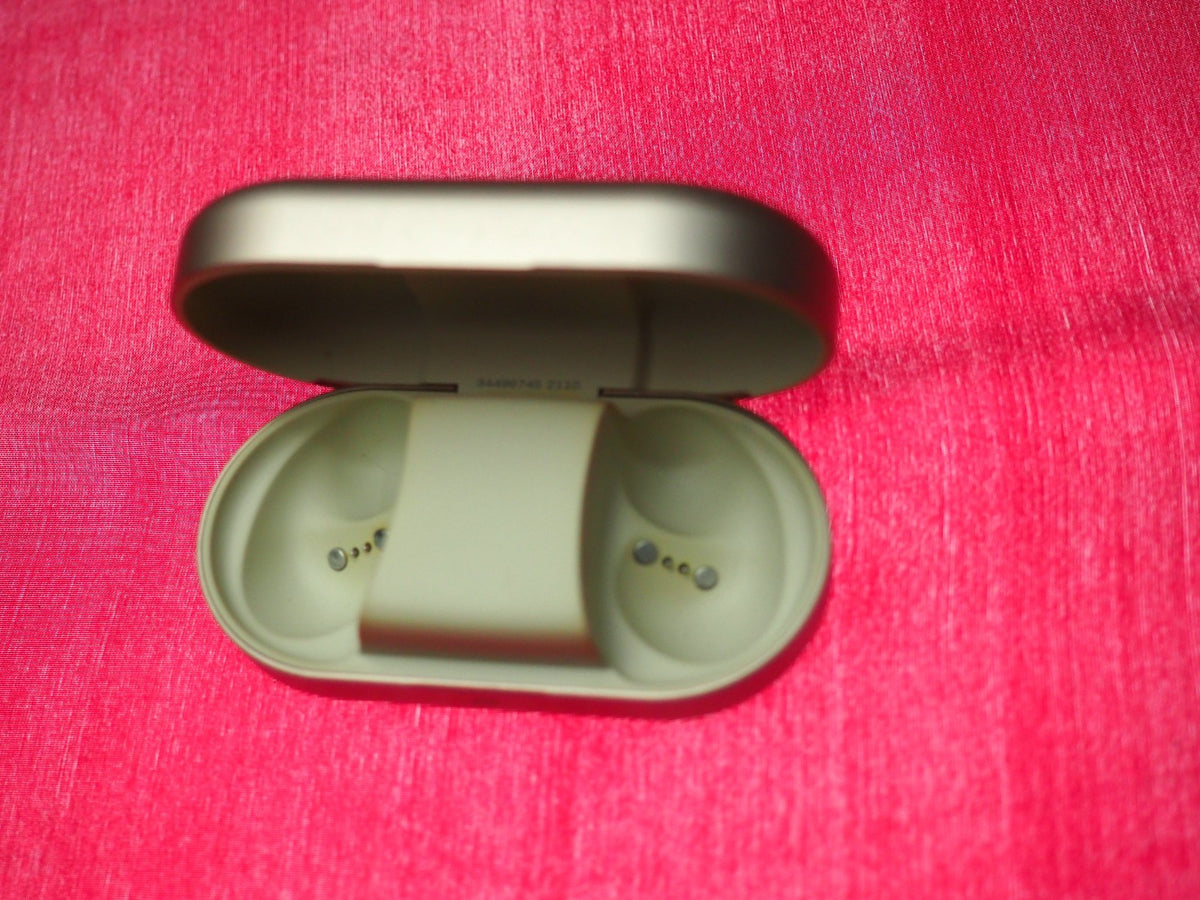 Bang & Olufsen Beoplay EQ Charging Case Only & Working