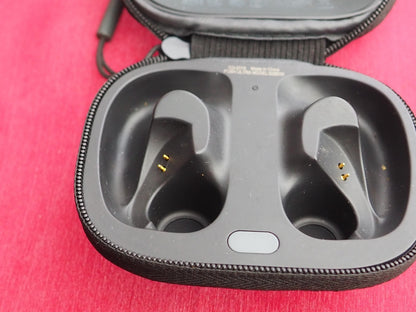 Skullcandy Push Ultra Case Only & Working