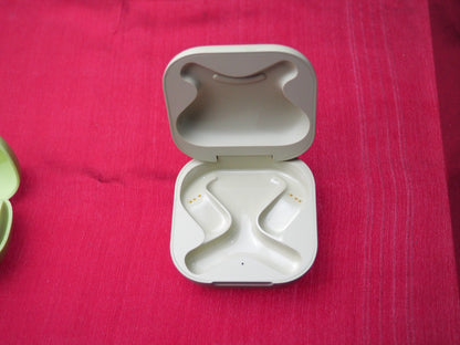 Shokz T910 Case Only & Working