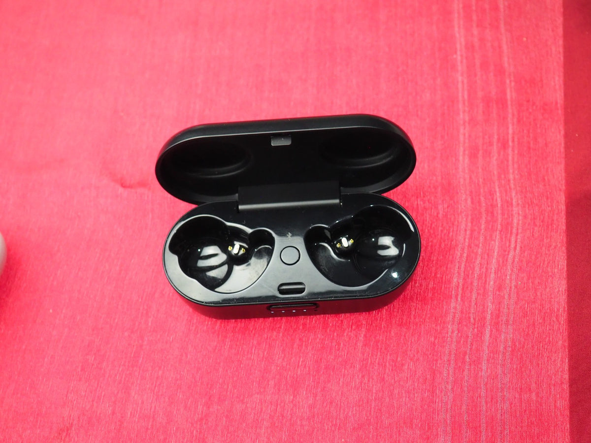 Bose Sport Case Only & Not Working