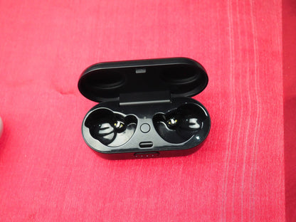 Bose Sport Case Only & Not Working