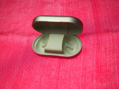Bang & Olufsen Beoplay EQ Charging Case Only & Working