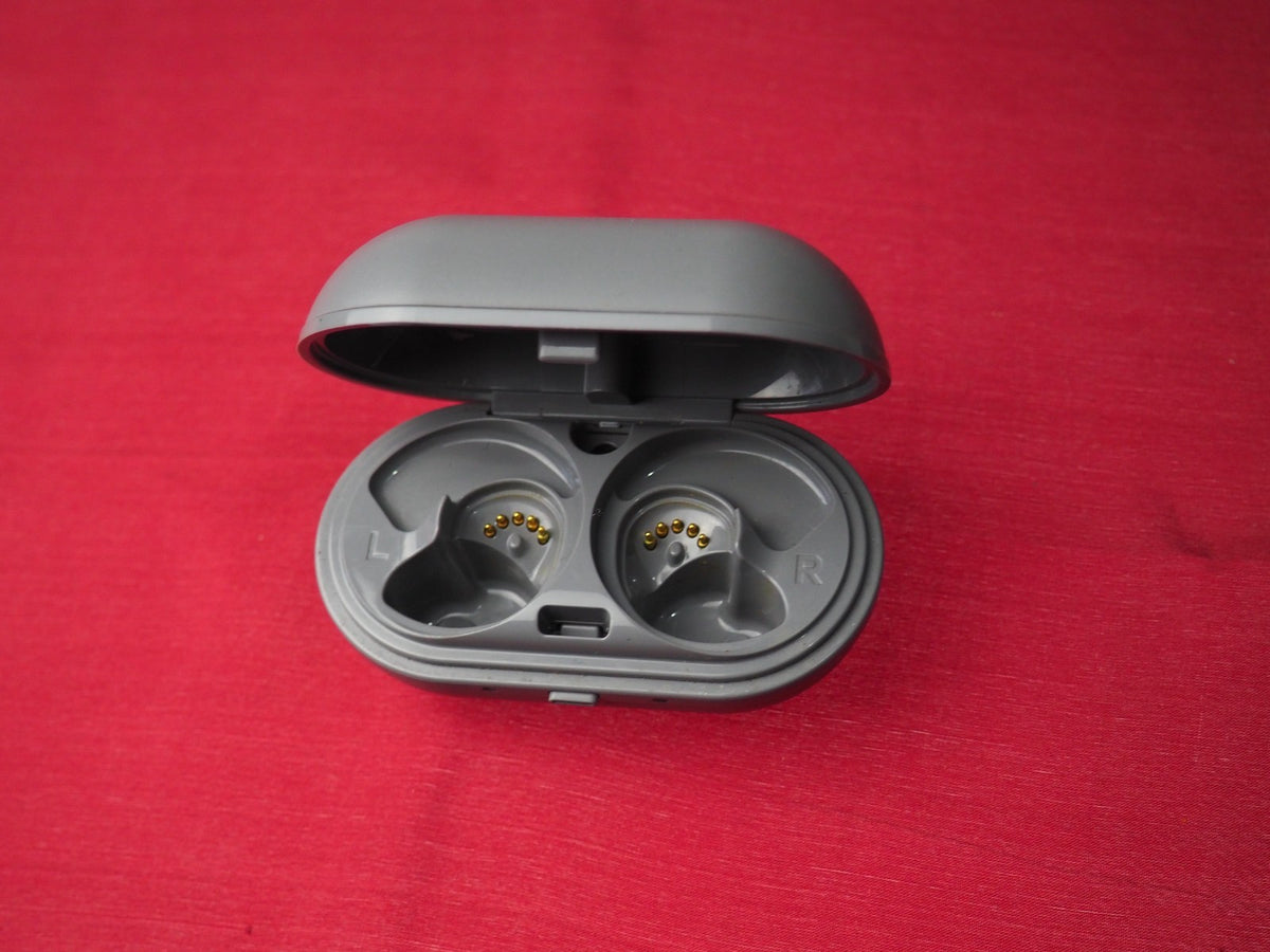 Jaybird Vista Run Case only & Working