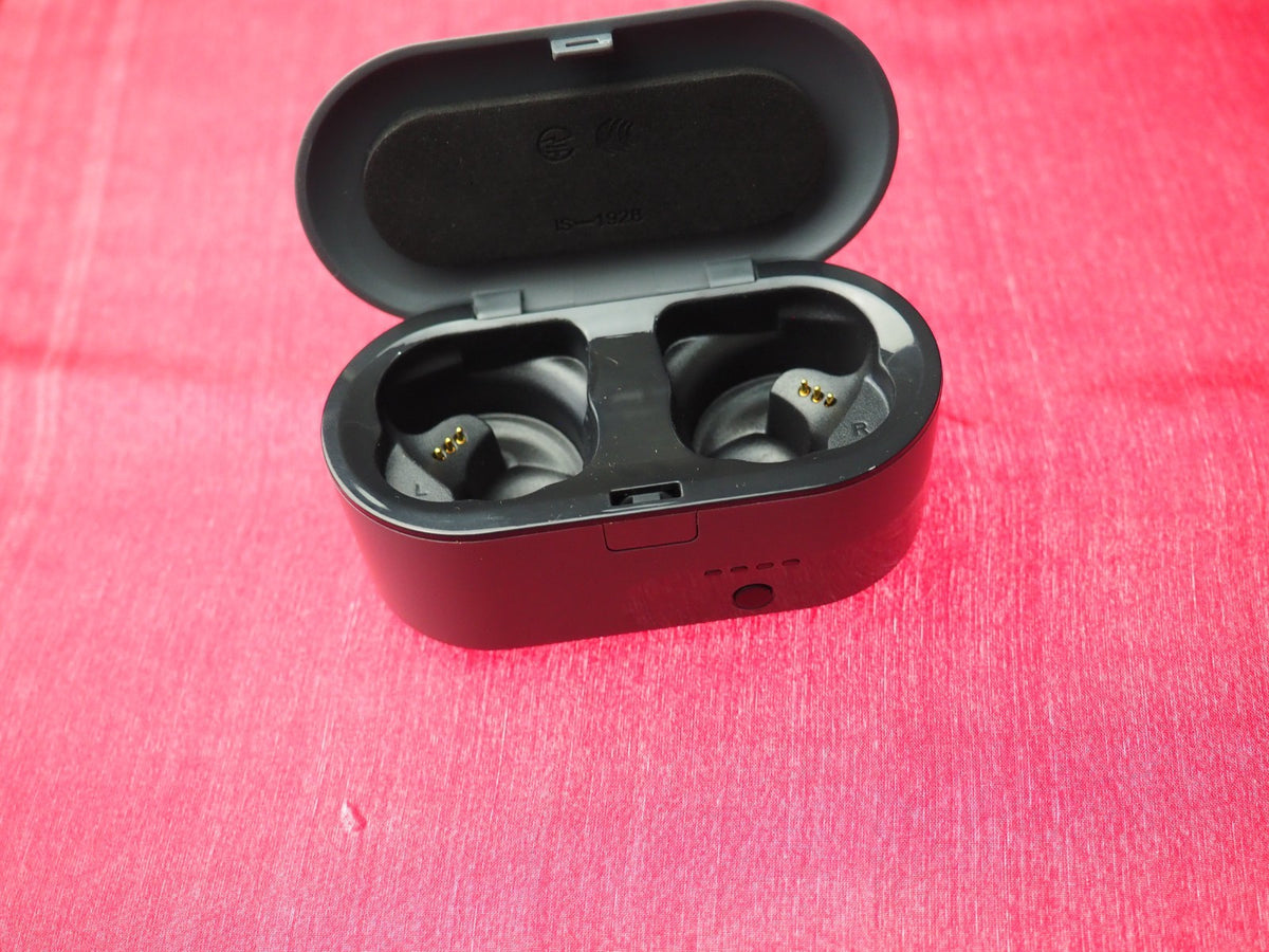 Skullcandy Push S2BBW Case Only & Working