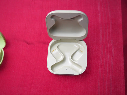 Shokz T910 Case Only & Working