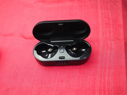 Bose Sport Case Only & Not Working