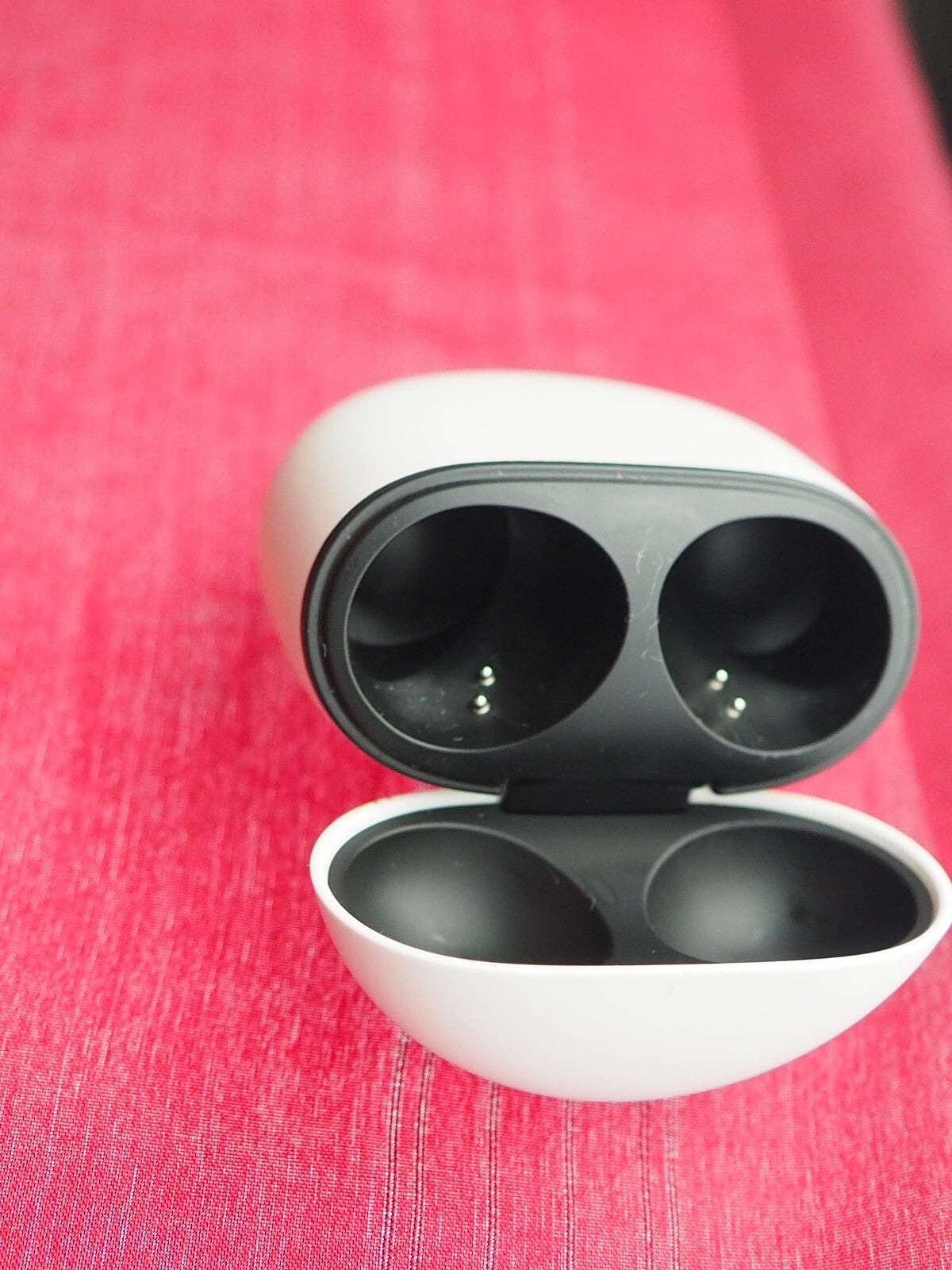 Google Pixel Buds Pro Case Only & Not Working