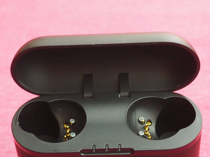 Panasonic RZ-S500W Earbud Case Only & NOT WORKING