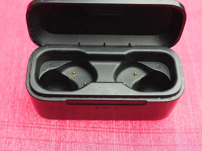 Vinyl By Skullcandy Earbuds Case  Only & Working
