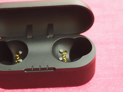 Panasonic RZ-S500W Earbud Case Only & NOT WORKING