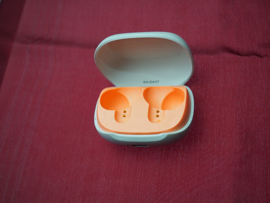 Skullcandy Smokin Buds Charging Case Only & Working