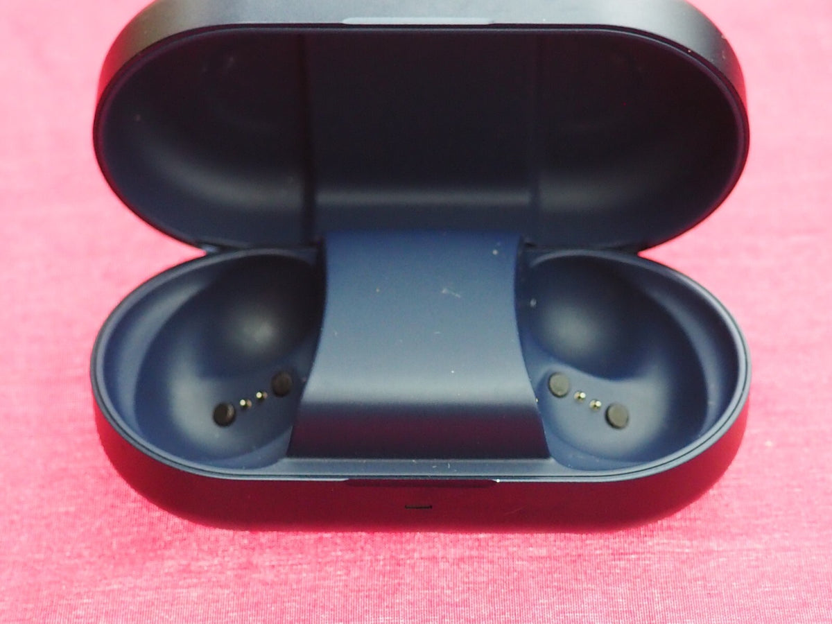 Bang & Olufsen Beoplay EQ Earbud Case Only & Not Working