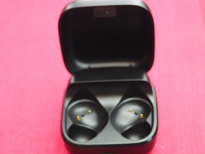 Sennheiser Accentum ATW1 Case Only & Working