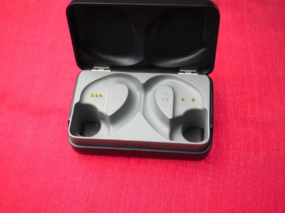 JBL Endurance Peak 1 Case Only & Working