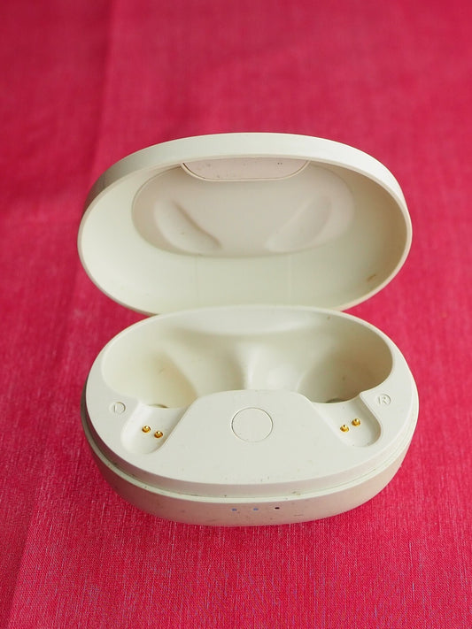 Soundcore Life P2 Mini Case  Only & Working