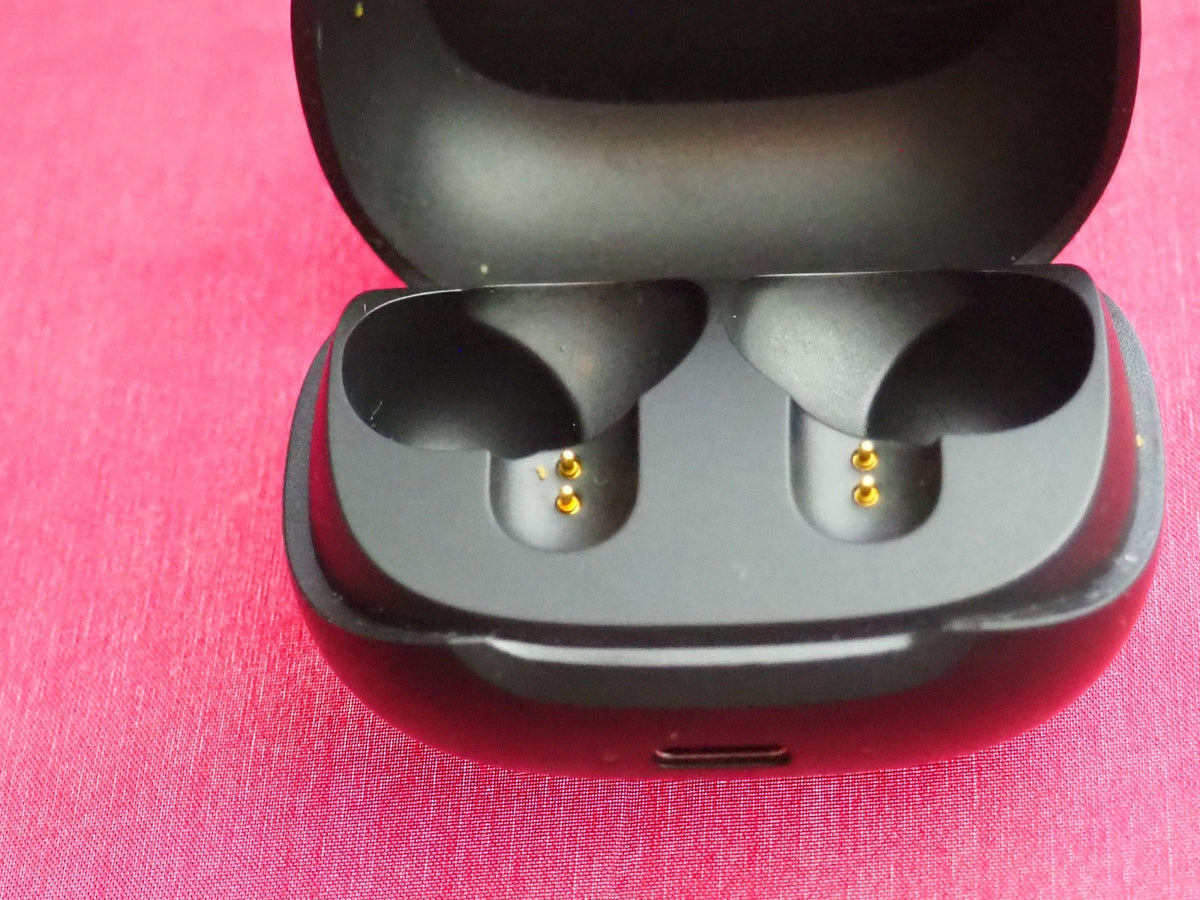 Skullcandy Smokin Buds Case  Only &  Working