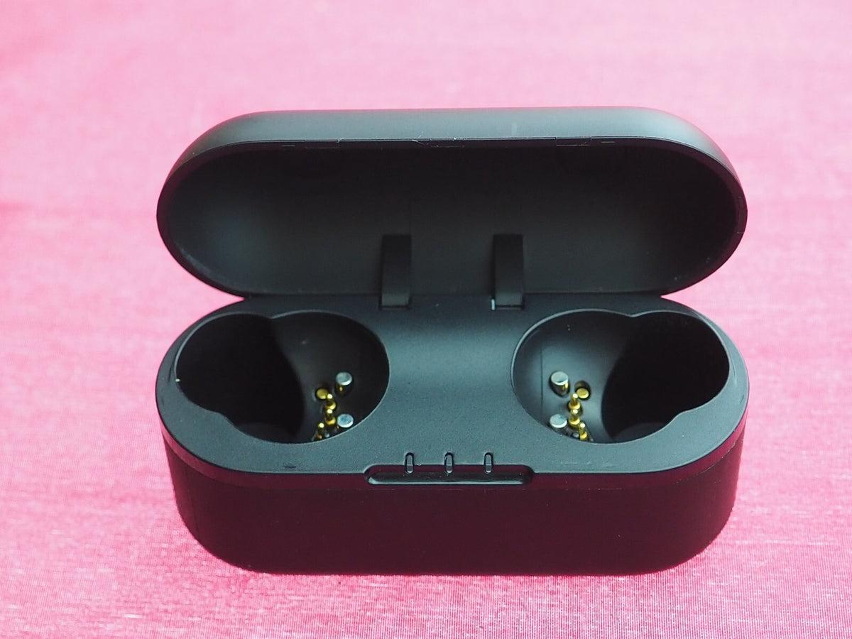 Panasonic RZ-S500W Earbud Case Only & NOT WORKING