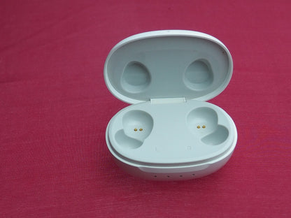 JBL ? Case Only & Working